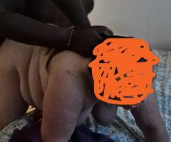 GANG BANG DE FOLIE AVEC LA SUPERBE SANDRINE